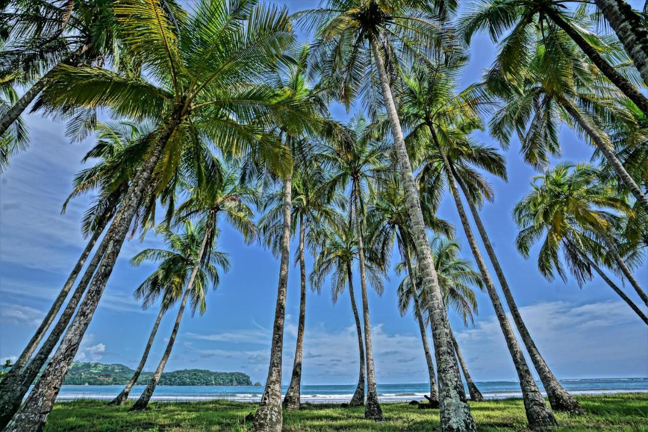 Nammbu Beach Front Bungalows Sámara 外观 照片